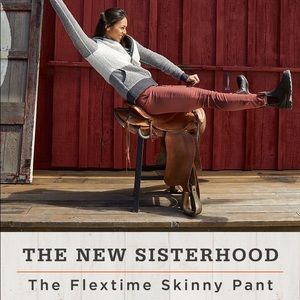 toad & co flextime skinny pant